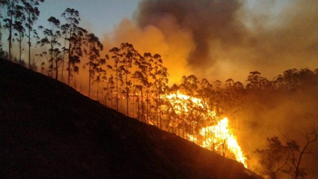 Há pontos com risco perigosíssimo de incêndio em todas as