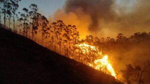 Há pontos com risco perigosíssimo de incêndio em todas as