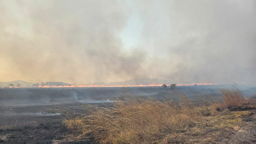 ICMBIO diz que resta somente um foco de incêndio ativo