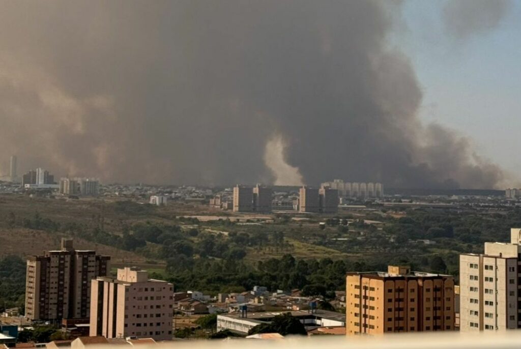 Incêndio de grandes proporções atinge a Floresta Nacional de Brasília;