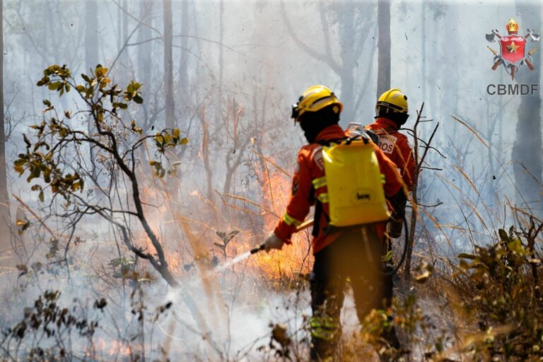 Incêndio já atingiu cerca de 38% da Floresta Nacional de