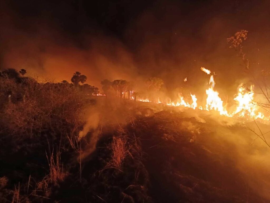 Incêndios na região da Chapada dos Veadeiros já destruíram o