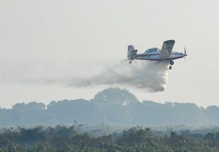 Incêndios reabrem polêmica sobre química do “retardante de chama” em