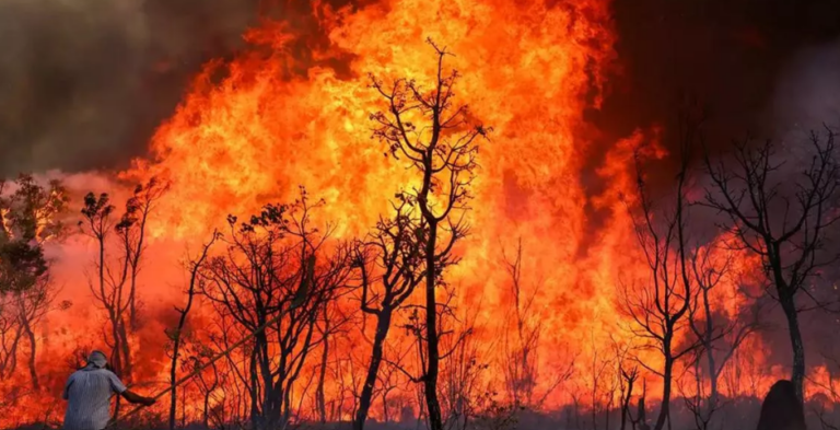 Mais de 40 projetos no Congresso miram autores de incêndios,