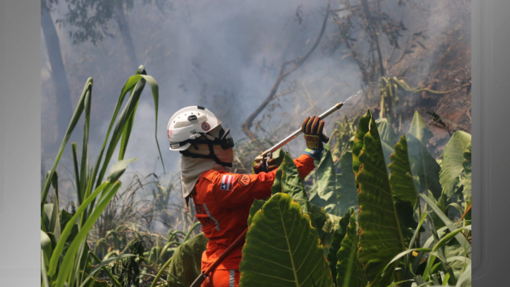 Mais de 400 incêndios florestais foram combatidos nos últimos dois