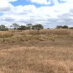 Maranhão tem 13 cidades sem chuva há três meses