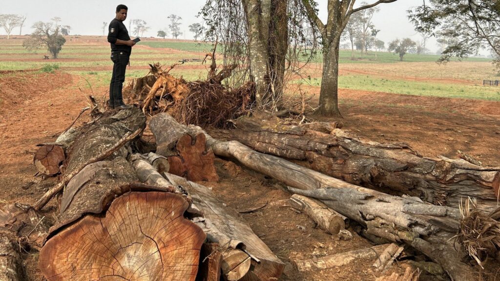 Multa ambiental de mais de R$ 400 mil é aplicada