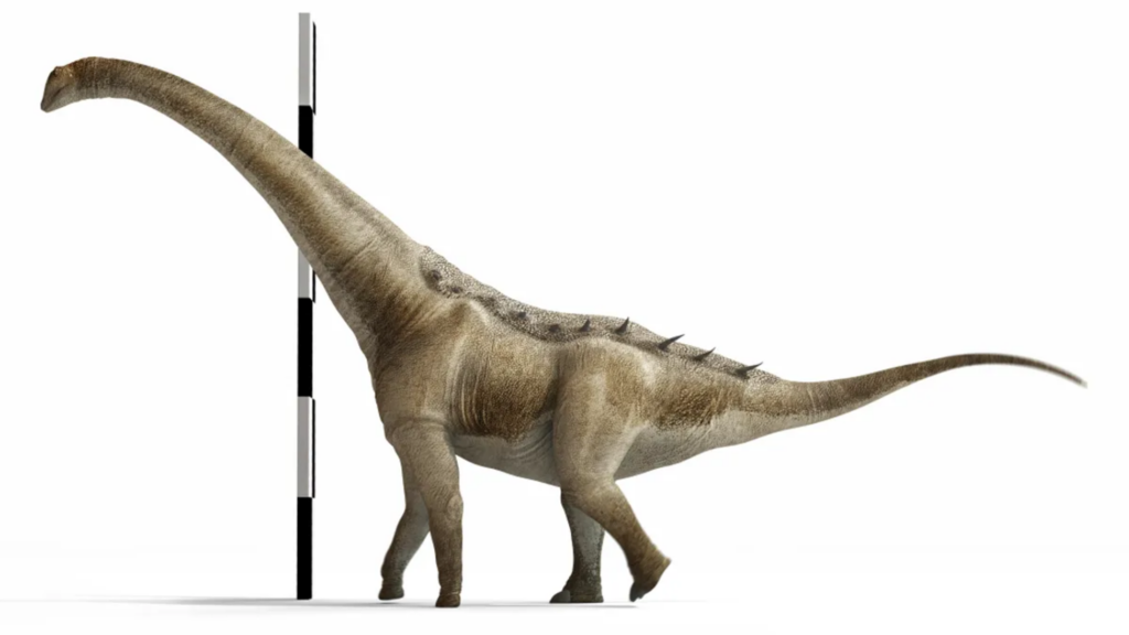 Nova espécie de dinossauro gigante é descoberta na Espanha