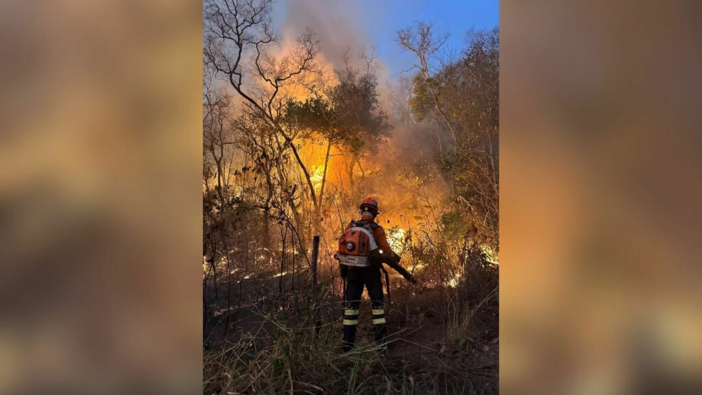 Pantanal enfrenta pior seca dos últimos 70 anos, diz governo