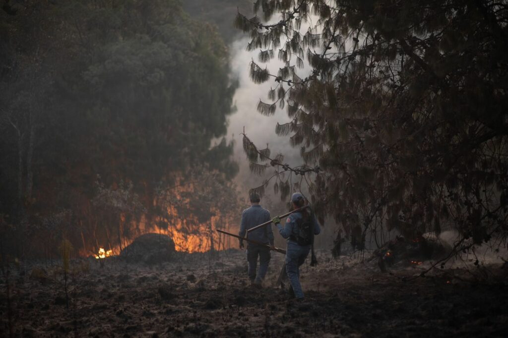 Polícia já prendeu 22 pessoas por incêndios em São Paulo