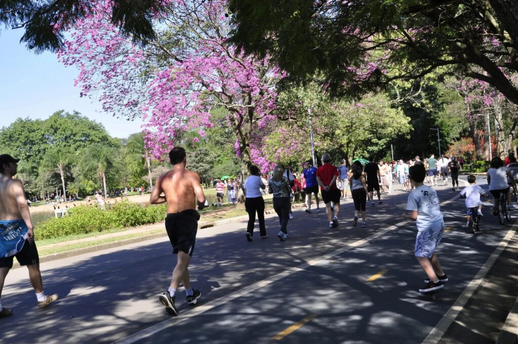 “Primavera deve ter extremos de temperatura”, diz especialista em meteorologia