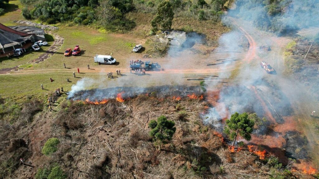 Queimas controladas são suspensas por 90 dias no Paraná para