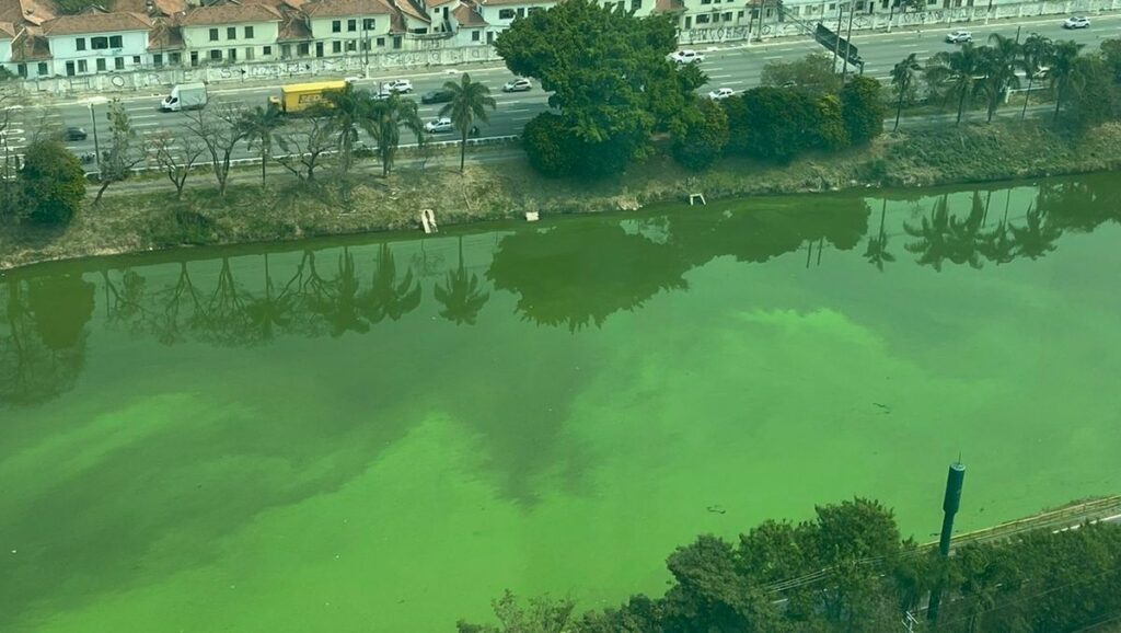 Rio Pinheiros apresenta coloração verde devido à estiagem em SP;