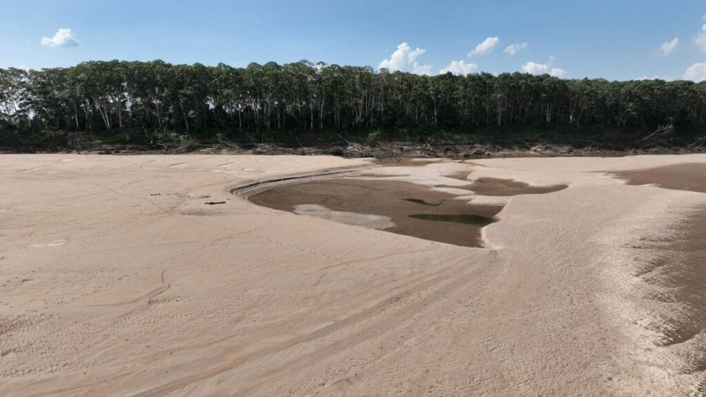 Rios secam e Amazônia pode ter seca como nunca vista