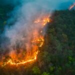 Amazônia tem maior degradação pelo fogo em 15 anos