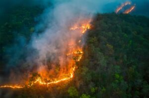 Amazônia tem maior degradação pelo fogo em 15 anos