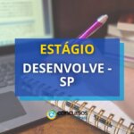 Desenvolve SP abre edital de estágio; bolsa de R$ 1,6