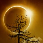 Eclipse: “Anel de Fogo” será visto por apenas 0,002% da