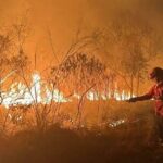 Estado do Rio poderá ter um sistema de prevenção de