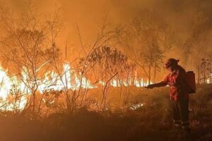 Estado do Rio poderá ter um sistema de prevenção de