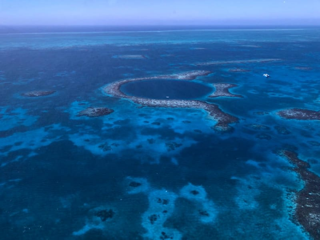 Grande Buraco Azul: mergulhadores encontram “cemitério” no fundo do mar