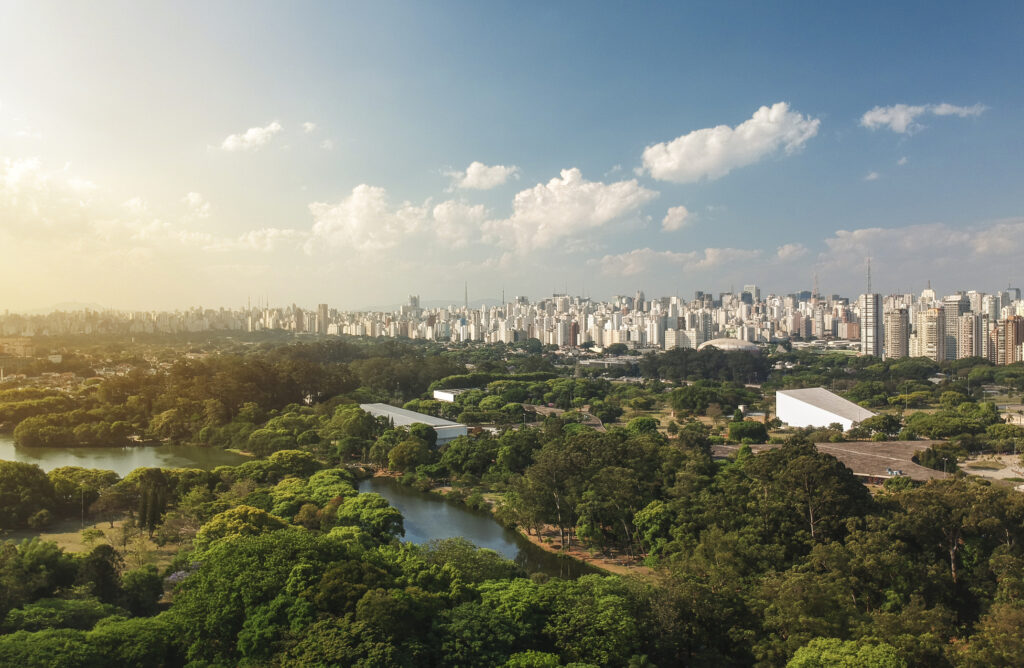 Natureza reduz temperatura nas cidades em até 5 °C; entenda