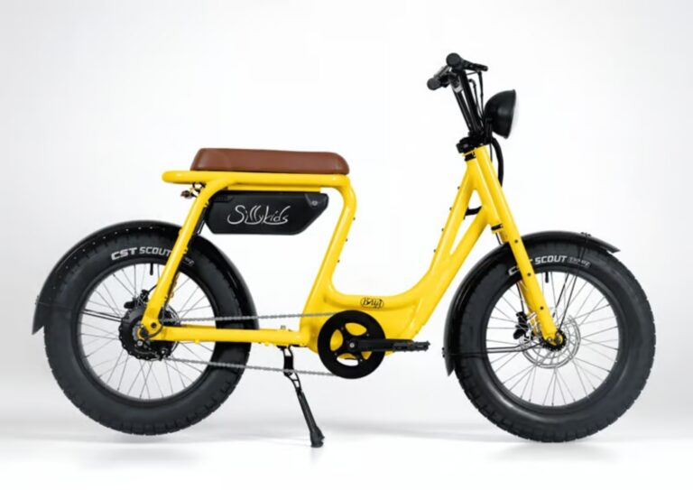 Nova e-bike de carga multiuso funciona como reboque e trailer