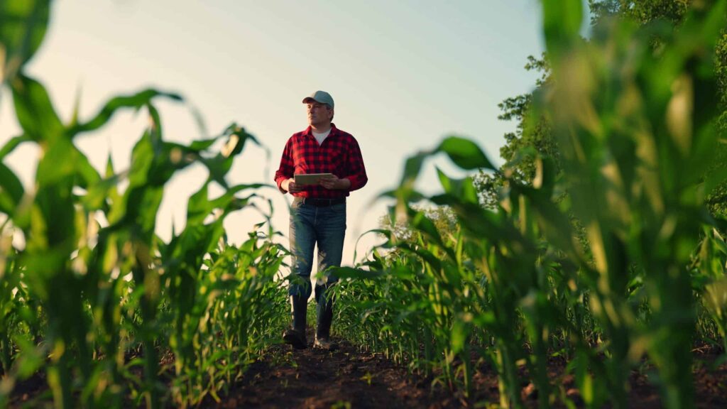 O que é o E-agro e como funciona a plataforma