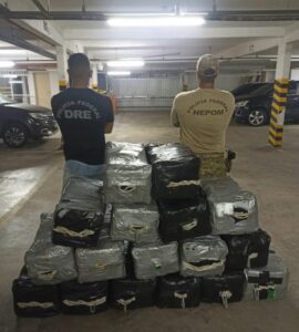 PF apreende meia tonelada de cocaína em navio, em São