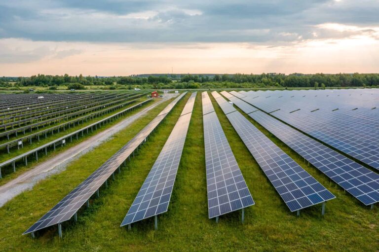 Painéis solares podem ser usados na agricultura sem danificar plantações