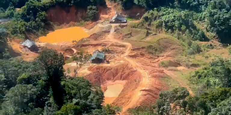 Polícia Rodoviária Federal registra aumento nos crimes ambientais na Amazônia