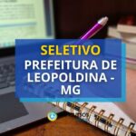 Prefeitura de Leopoldina - MG abre editais de seleção