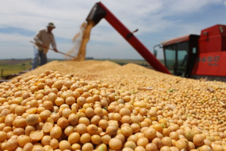 Produção de grãos no Brasil será recorde nos próximos dez