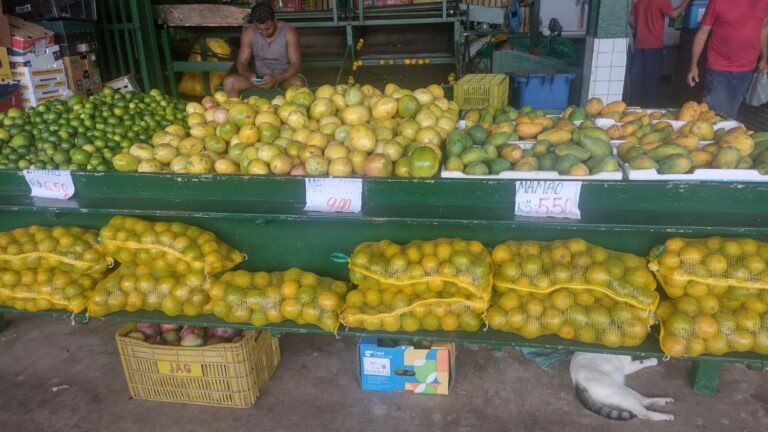 Seca e queimadas ameaçam mercado hortifrutigranjeiro de São Luís