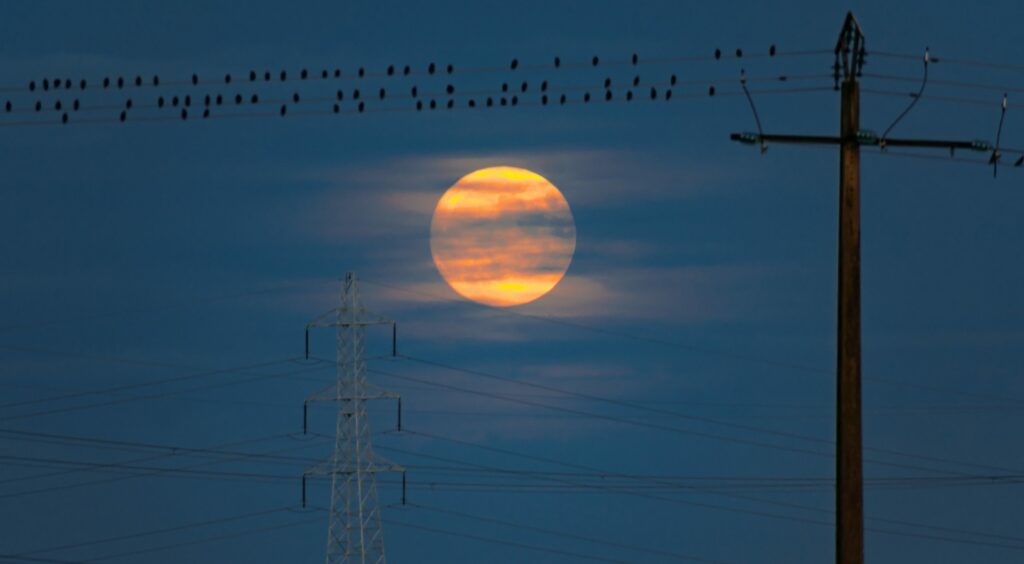 Semana traz a maior Superlua do ano; saiba detalhes