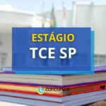 TCE SP abre 13 vagas de estágio em processo seletivo