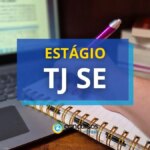 TJ SE abre mais de 120 vagas em novo edital