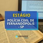 Vagas de estágio na Polícia Civil de Fernandópolis