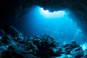 Vermes gigantes se escondem em cavernas no Oceano Pacífico; veja