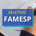 novo edital de processo seletivo divulgado