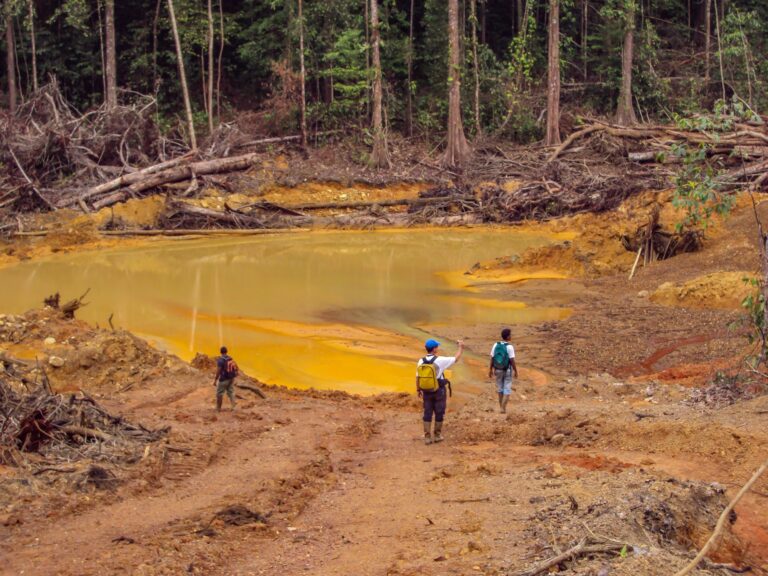 Amazônia: quanto mais degradada, menos condições de reduzir aquecimento global