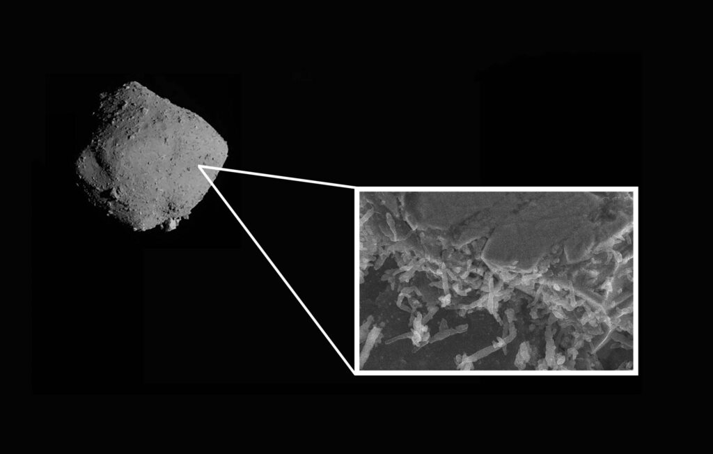 Amostra de asteroide é contaminada por bactérias da Terra