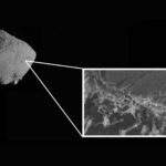 Amostra de asteroide é contaminada por bactérias da Terra