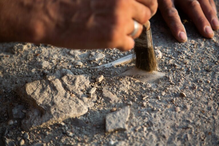 Arqueólogos encontram cemitérios indígena e colonial na Bahia