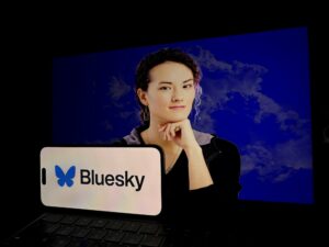 CEO do Bluesky avisa: a rede social é “à prova