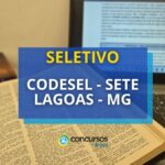 CODESEL de Sete Lagoas – MG abre processo seletivo