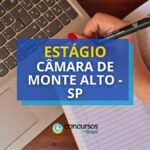 Câmara de Monte Alto - SP paga R$ 1 mil