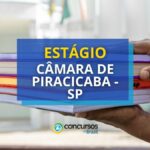 Câmara de Piracicaba - SP paga R$ 1,2 mil em