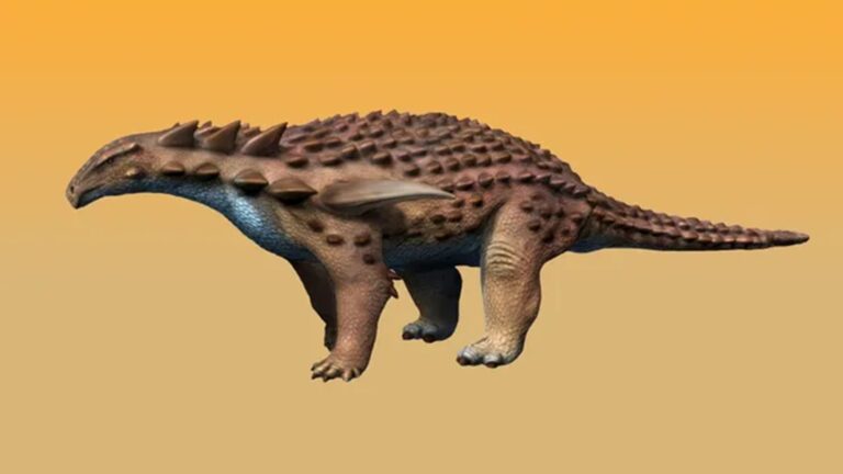 Conheça o dinossauro que era “equipado” com “colete à prova