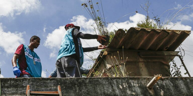 DF promove dia de combate à dengue para eliminar focos